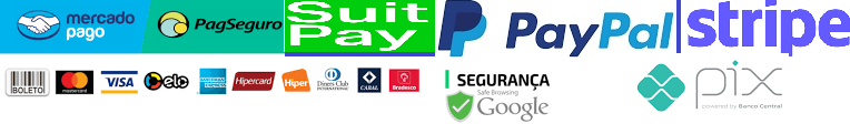 payment gateway